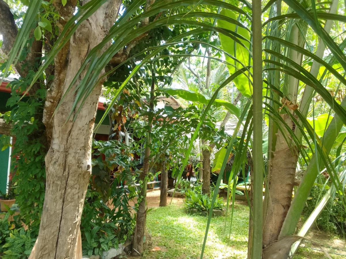 Sigiriya Village Home Stay & Private Room Экстерьер фото
